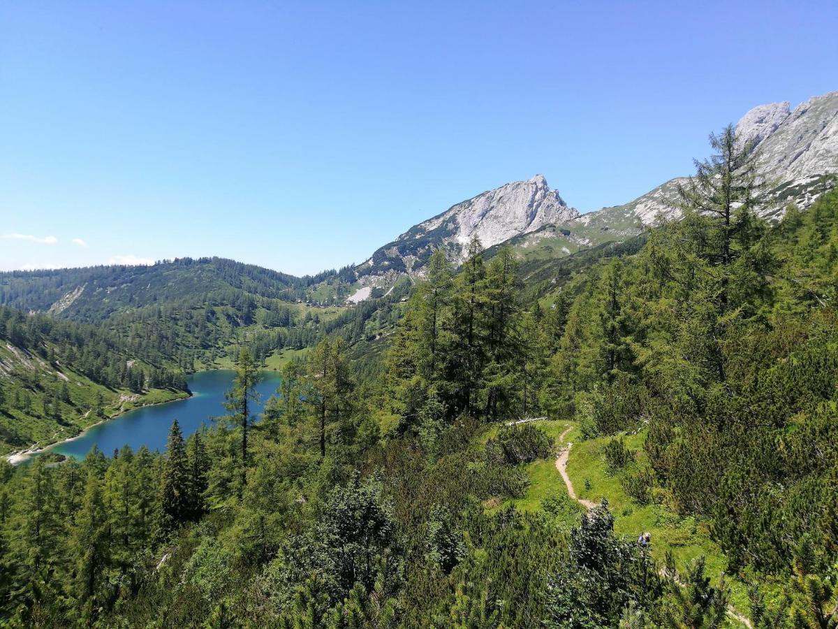 Appartement-Pension Familie Gewessler Bad Mitterndorf Esterno foto