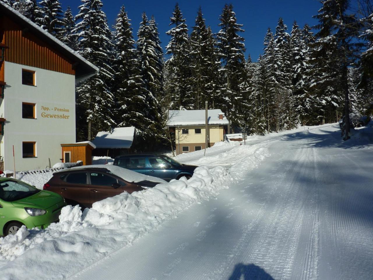 Appartement-Pension Familie Gewessler Bad Mitterndorf Esterno foto
