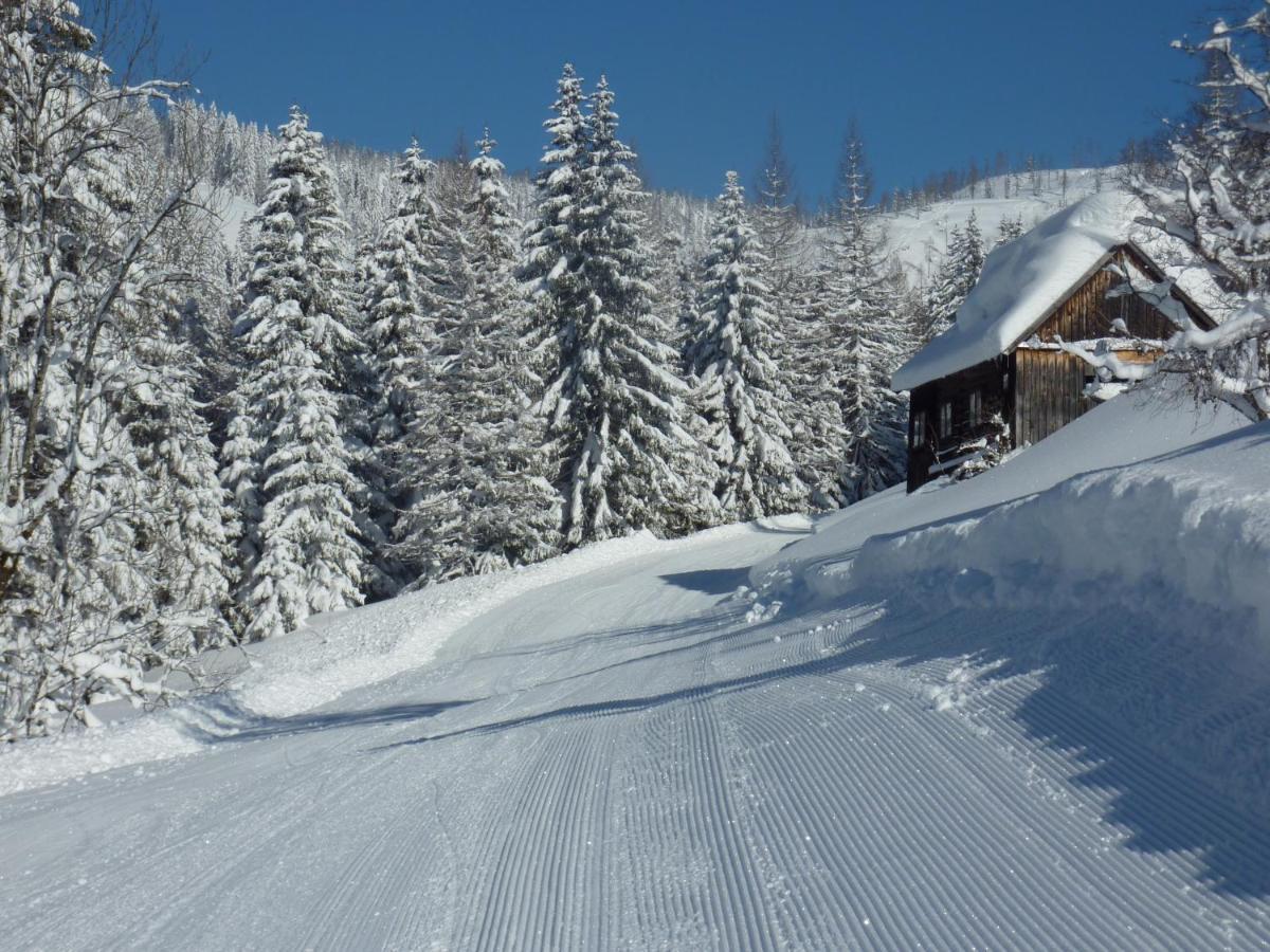 Appartement-Pension Familie Gewessler Bad Mitterndorf Esterno foto